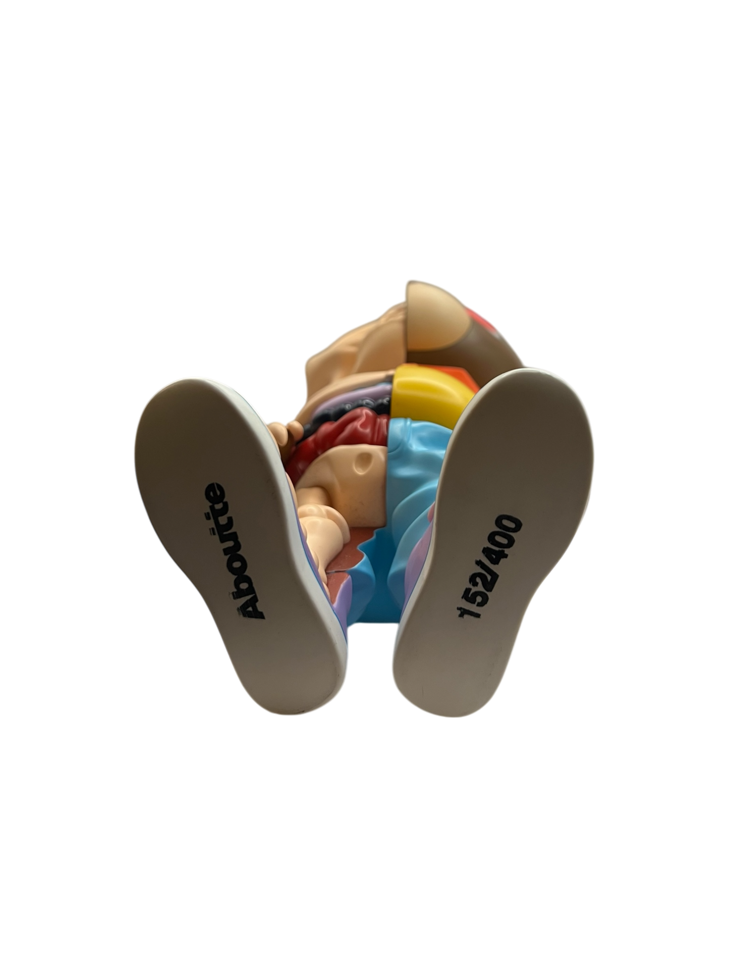 Aboutte AnatomYe Bear Figure