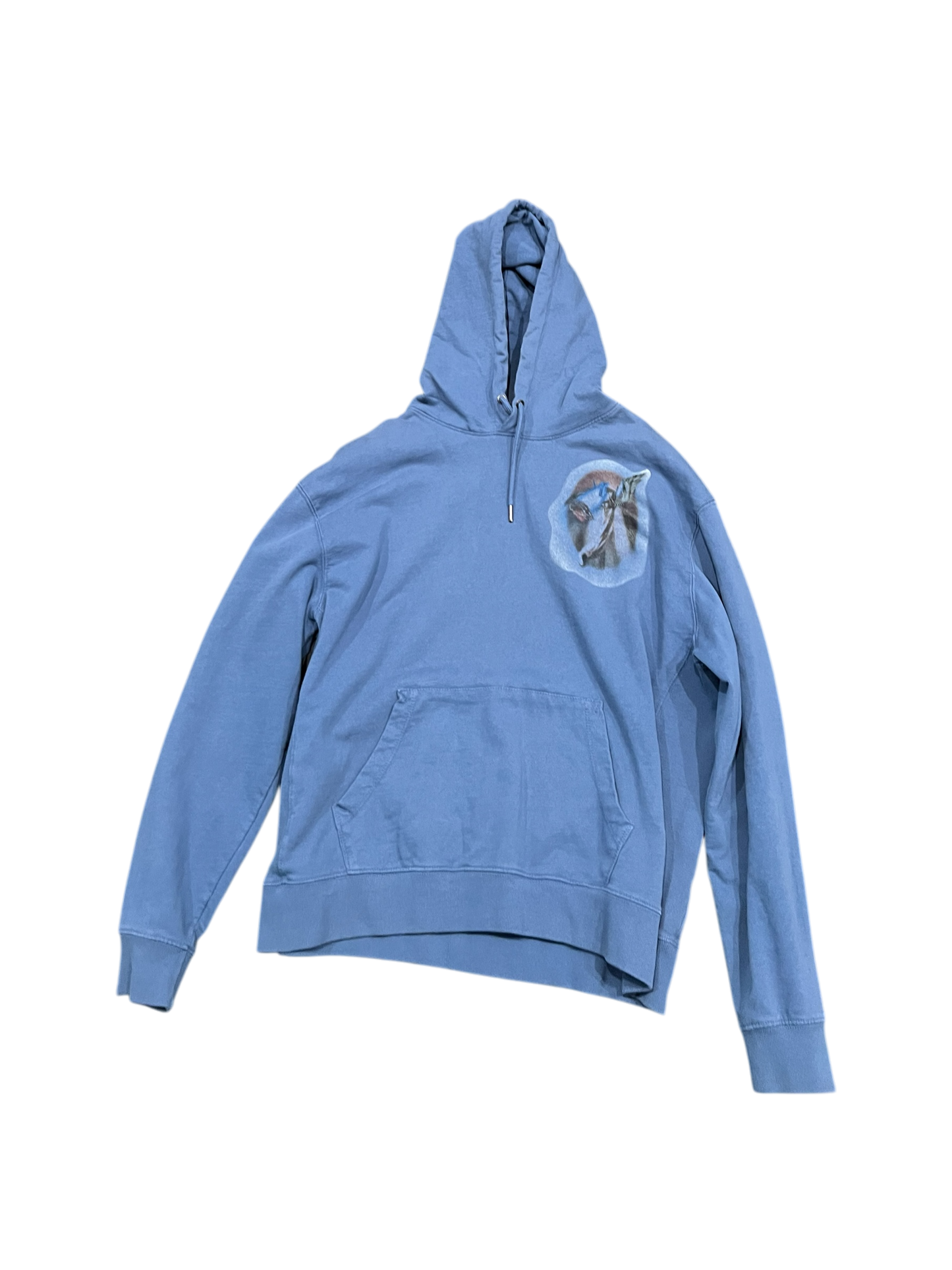 Test Print YZY ForbiddenKnowledge Hoodie