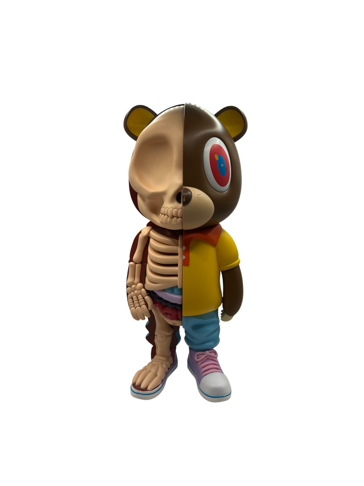 Aboutte AnatomYe Bear Figure