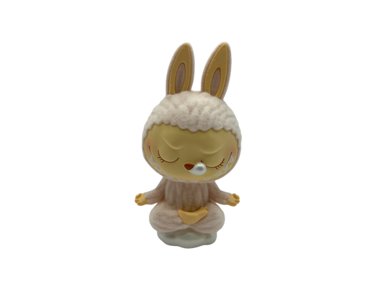 Pop Mart Labubu The Monsters Lazy Yoga Series Figures Opened Box