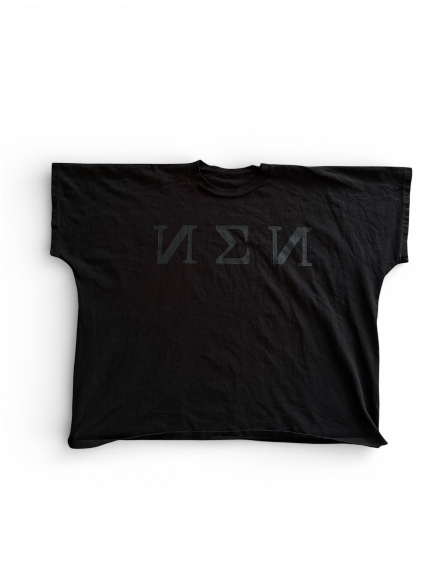 YZY TS-01