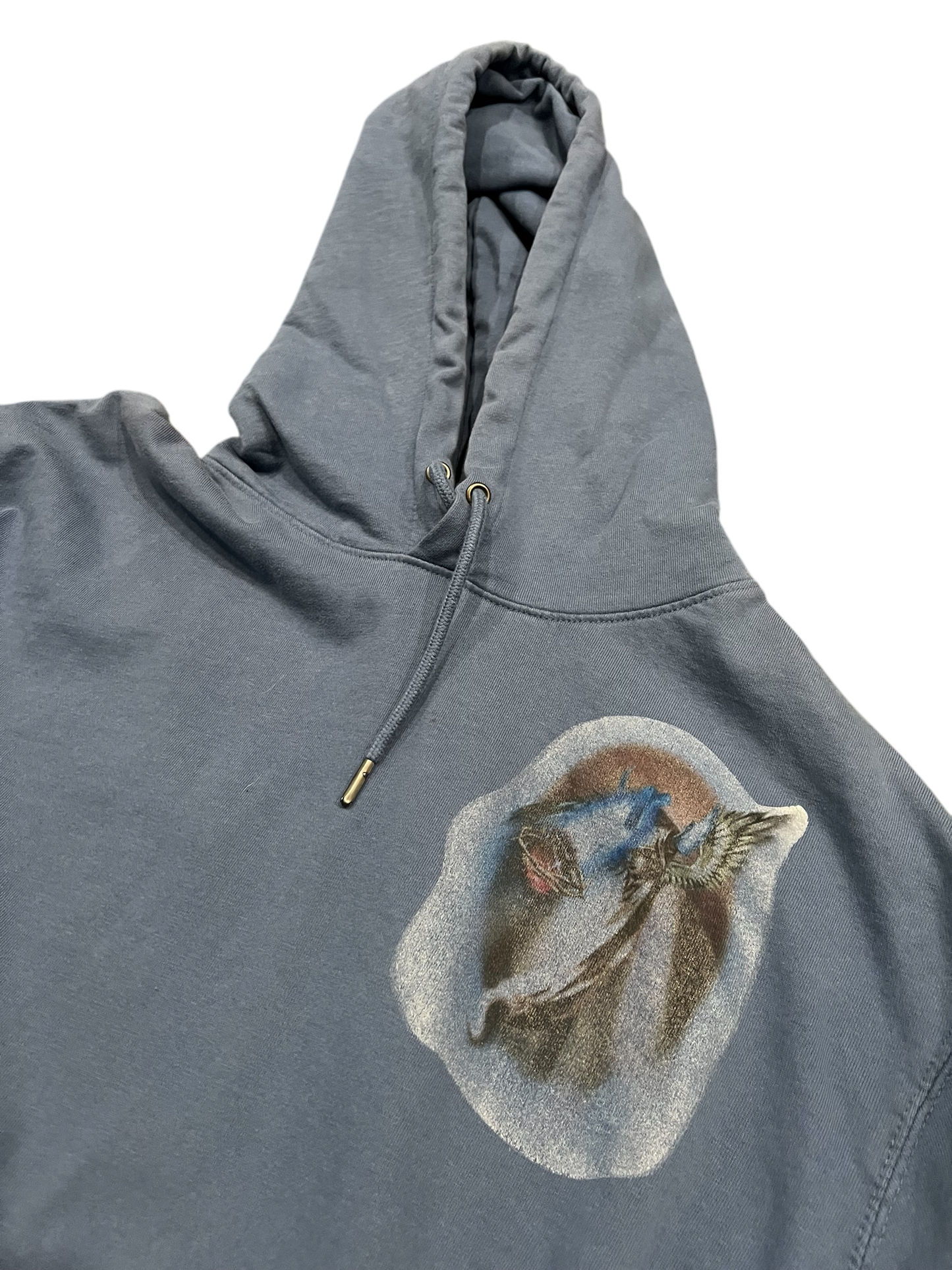 Test Print YZY ForbiddenKnowledge Hoodie