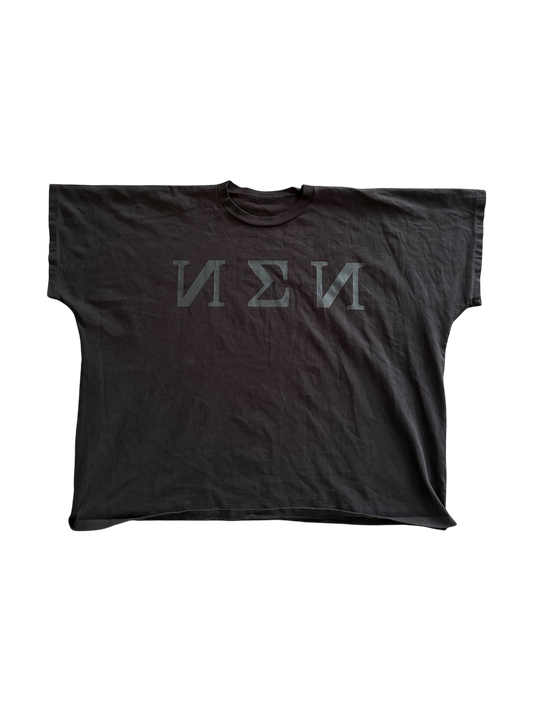 YZY TS-01