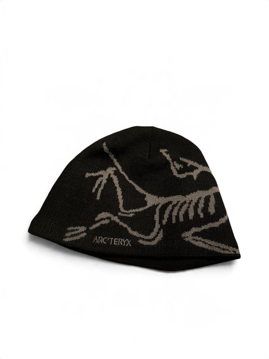 Arc’teryx Bird Head Toque
